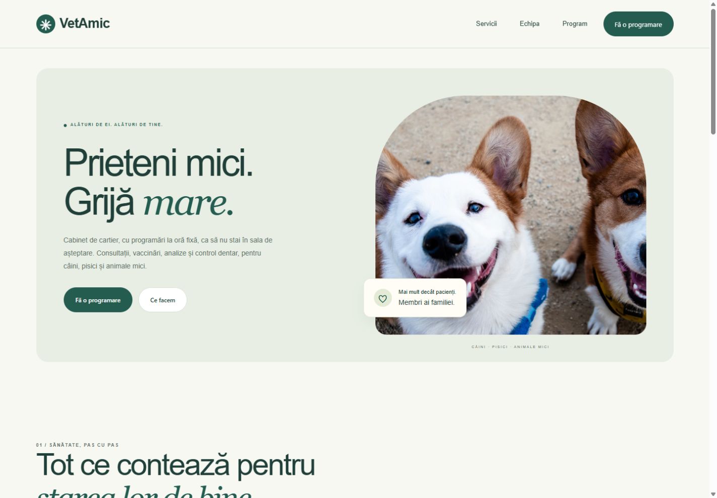 Previzualizare website VetAmic